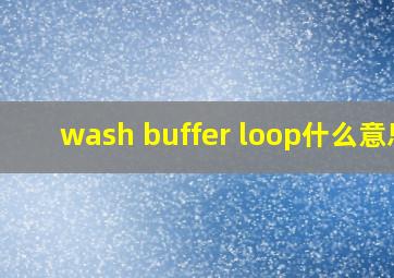 wash buffer loop什么意思